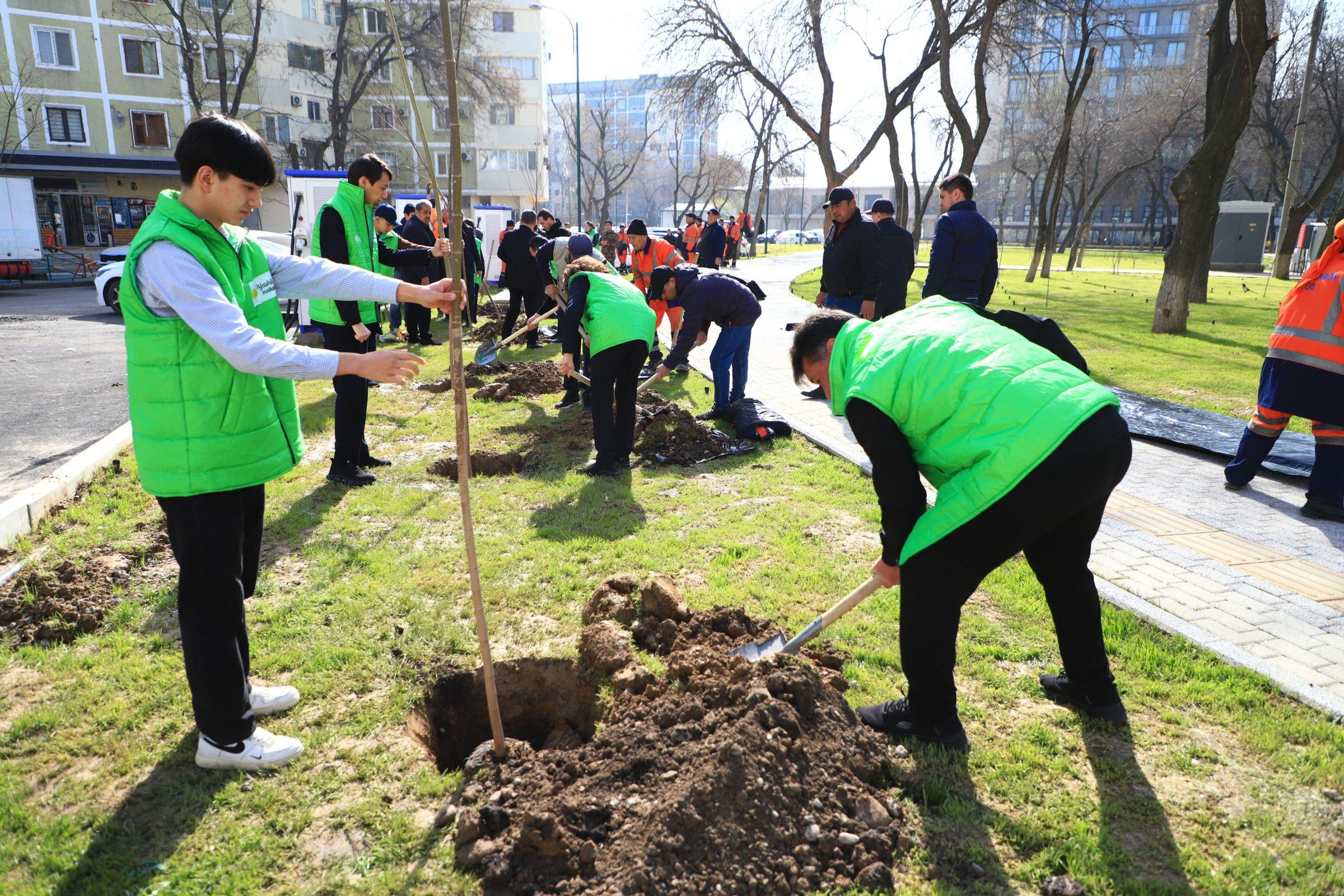 Яккасарай туманида Умумхалқ ҳашари ва «Яшил макон» лойиҳасига старт берилди